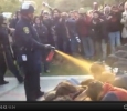 Occupy Wall St, the pepper-spray copjj