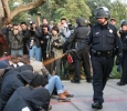 Occupy Wall St: the pepper-spray cop