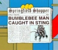 BUMBLEBEE MAN CAUGHT IN STING  (Springfield Shopper)