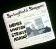 HOMER SIMPSON STRIKES AGAIN! (Springfield Shopper)