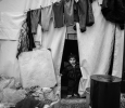 Refugees from the Aleppo and Marea district